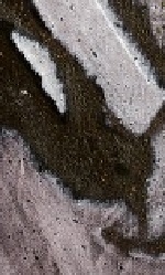 Un uccello sull'ombelico del giustiziato