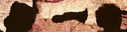 Sullo sfondo si nota una barca