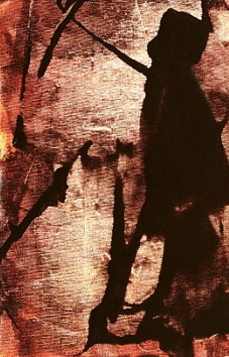 I riflessi di un canale o di un acquitrino